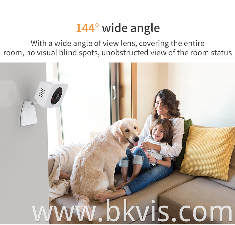 Surveillance Baby Detection Night Vision CCTV IP Camera